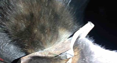 Zonguldak'ta yürekleri ısıtan kurtarma