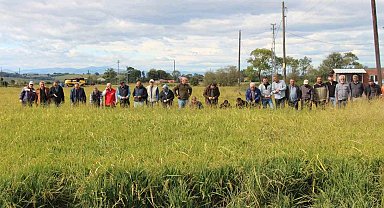 19 Mayıs ilçesini dolu vurdu