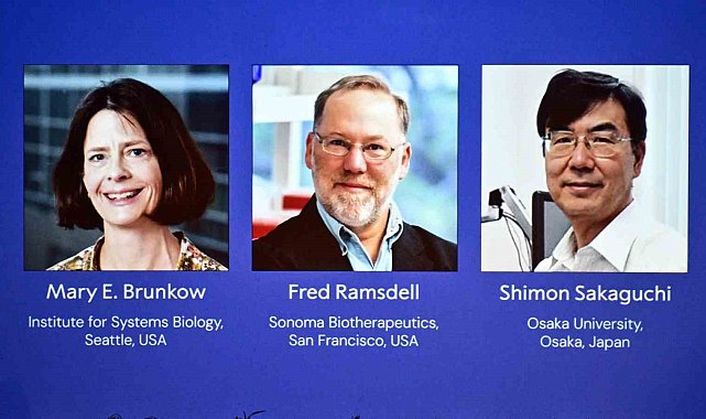 2025 Nobel Tıp Ödülü, Brunkow, Ramsdell ve Sakaguchi'nin oldu