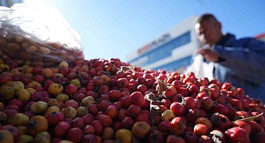'Seyyar doktor' dağ bitkileriyle şifa dağıtıyor