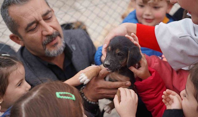 600 öğrenci barınaktaki can dostlarını ziyaret etti