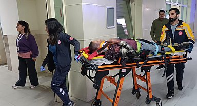 Adana'da tarım işçilerini taşıyan minibüs devrildi: 11 yaralı