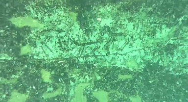 Adıyaman'da 12 bin yıllık kaya resimleri su altında görüntülendi