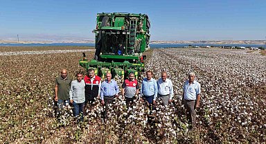 Adıyaman'da 2025 yılı pamuk hasadı başladı