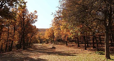 Afyonkarahisar'da sonbahar masalsı görüntüler ortaya çıkardı