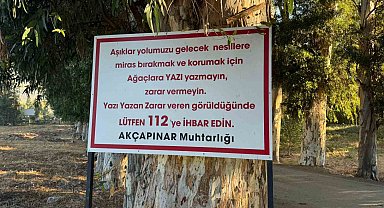 Ağaçlara yazı yazanları tabela ile uyardı