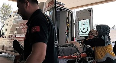 Ağaçtan düşen adam hayatını kaybetti