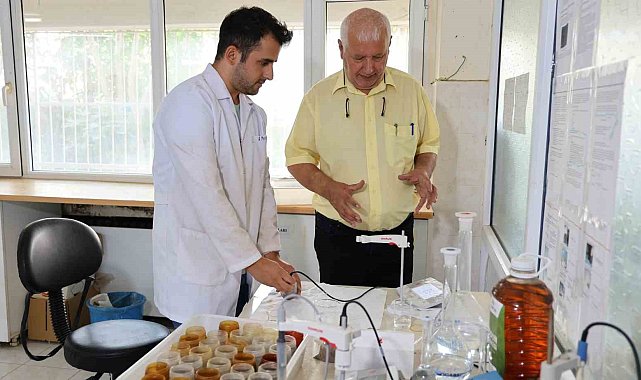 Akdeniz'in bozulan toprak sağlığı mercek altına alındı