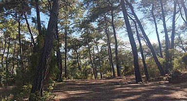 Akyaka Gökova Orman Parkı'nda temizlik ve elektrik yenileme çalışmaları başladı