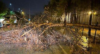 Alanya Belediyesi olumsuz hava şartlarına karşı teyakkuzda