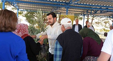Alanya'daki yangın bölgesinde 3 bin 400 zeytin fidanı bahçe sahiplerine dağıtıldı