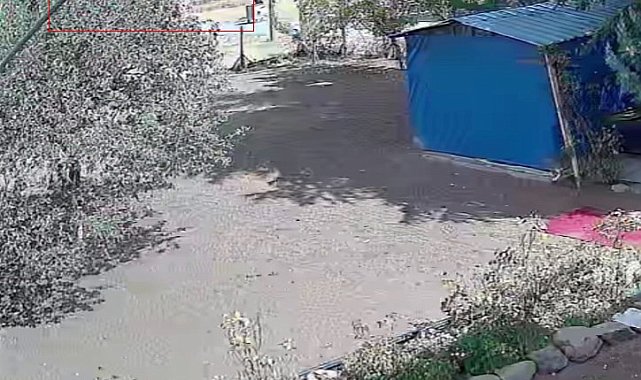 Ankara'da 3 katlı binadaki göçük anı kamerada