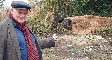 Annelerini kaybeden yavru ayılar, ilçenin maskotu oldu