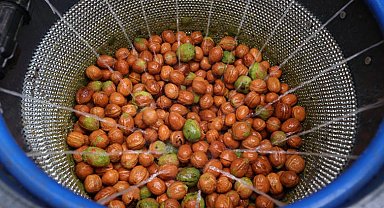 Antalya Büyükşehir'den ceviz üreticisine makine desteği