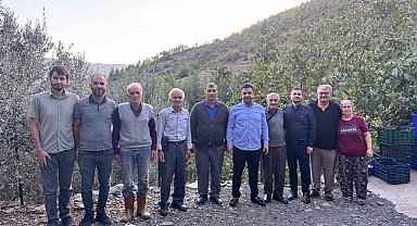 Antalya'da coğrafi işaretli çekirdeksiz narın hasadı başladı