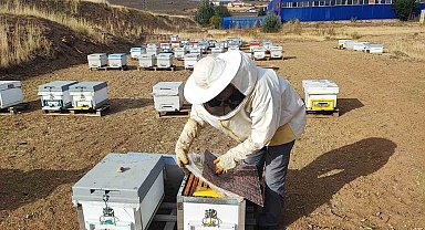 Arıcılığa yeni başladı, doğada insan ayağı değmeyen yerde bal üretiyor