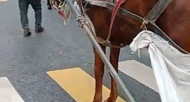 At arabasına 993 lira hatalı park cezası