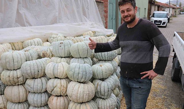 Ata tohumu ile üretilen Eskişehir'in meşhur kabağının hasadı başladı