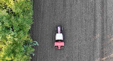 Ata tohumu siyez buğdayı Düzce topraklarında yetişecek