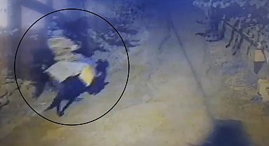 Atla geldi, yaşlı çifti öldürüp kaçtı