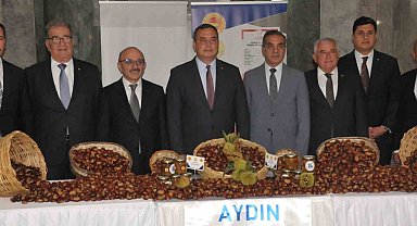 Aydın'da sezonun ilk kestanesi kilosu 550 TL'den alındı