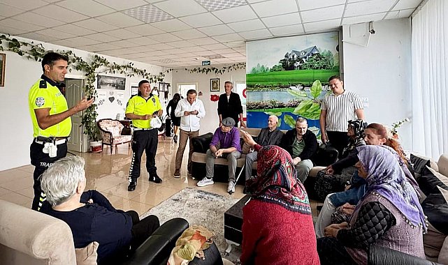 Aydın'da yaşlı çınarlara trafik eğitimi