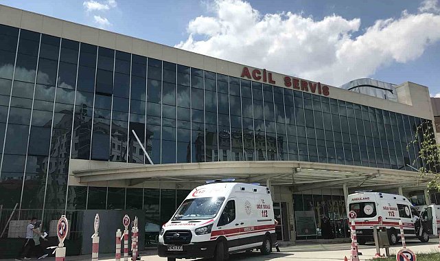 Baba ve oğlunun bıçakla saldırdığı galerici öldü