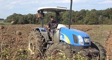 Bafra Ovası'nda 100 bin dekarlık alanda kışlık sebze ekimi başladı