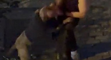 Bahçelievler'de pitbull cinsi köpek sahibine saldırdı: Dehşet anları kamerada