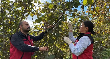 Bakan Yumaklı: "Zararlıya karşı 1 milyon 156 bin doğal düşman samuray arısı salımı yaptık"