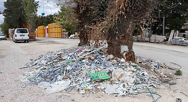 Baksan Sanayi Sitesi'nde ağacın çevresindeki moloz ve sanayi atıklarına tepki