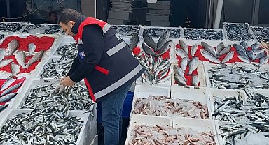 Balık tezgahları denetlendi