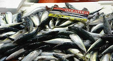 Balıkçılardan müjde: Fiyatlar düştü, ekimde bolluk bekleniyor