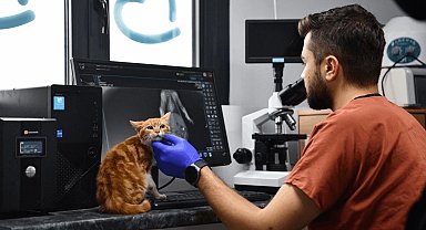 Balıkesir Büyükşehir'den can dostlara tam destek