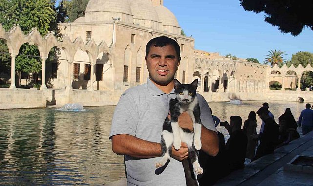 Balıklıgöl'e düşen kedi kalp masajıyla hayata döndü