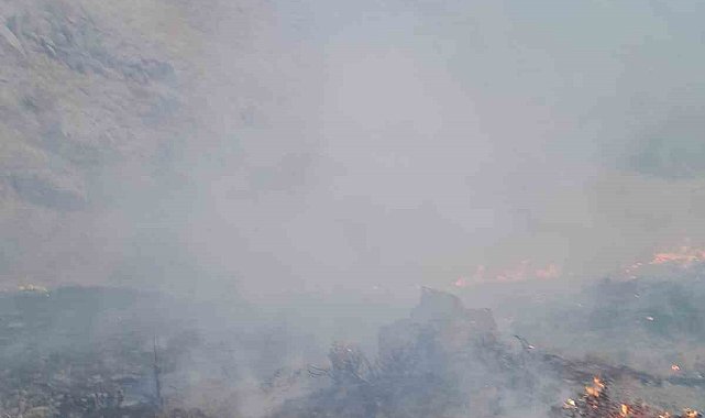 Başkale'de anız yangını