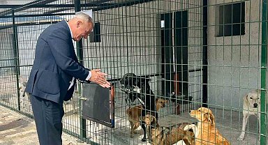 Başkan Yıldırımkaya: "Sultanhisar'da can dostlar emin ellerde"