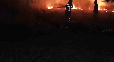 Batman'da anız yangını: 30 dönümlük alan kül oldu