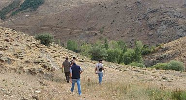 Bayburt'ta annesini kaybeden yavru ayı köyü alarma geçirdi