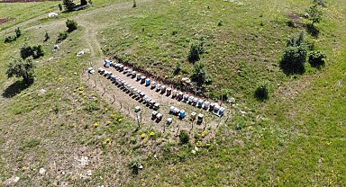 Bayburt'ta arılı kovan destekleme müracaatları başladı