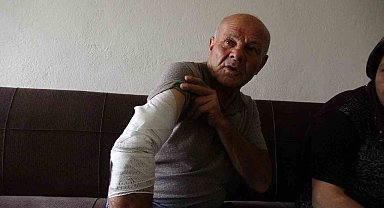 Beslemek istediği köpek saldırdı, koluna 10'dan fazla dikiş atıldı