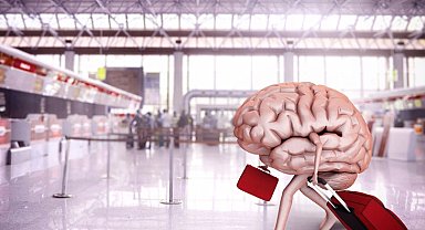 Beyin göçü durmadı! Her 50 üniversite mezunundan biri yurt dışında!