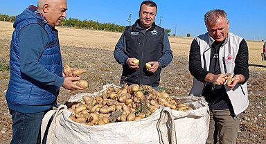 Beyşehir'de patates üreticisinin artan üretimle yüzü güldü