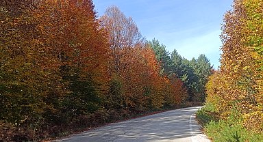 Bilecik Bozcaarmut'ta sonbahar büyüsü