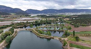 Bilecik'in ilk sulak alanı Beşgöller koruma altında