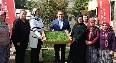 Bilecik'te tarıma can suyu: 926 bin marul fidesi toprakla buluştu