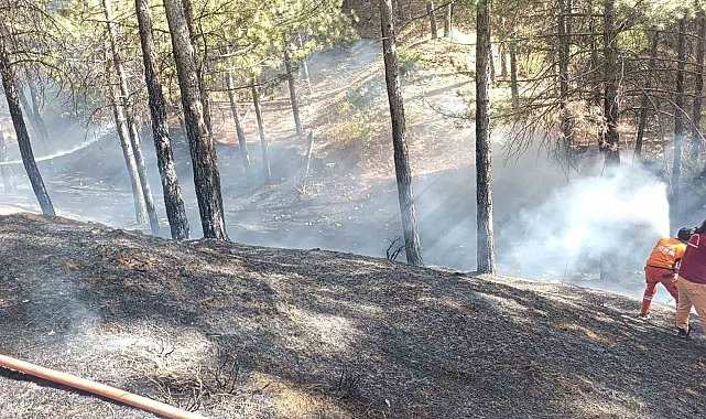 Bingöl'de çıkan orman yangını büyümeden söndürüldü