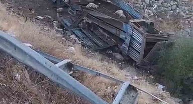 Bingöl'de hayvan taşıyan kamyon şarampole yuvarlandı: 2 yaralı, çok sayıda küçükbaş telef oldu