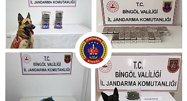 Bingöl'de jandarma ekipleri huzur ve güven için sahada