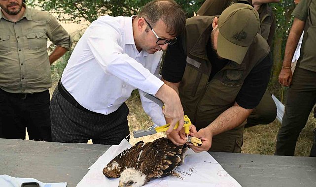 Binlerce leylek yuvası, yüzlerce mama kabı: Doğa dostu projeler